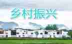 乡村振兴工作月总结报告8篇