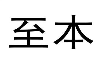 至本客服工作总结最新8篇