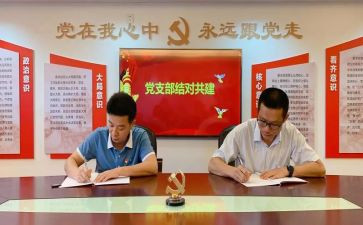 工经联党支部述职报告8篇