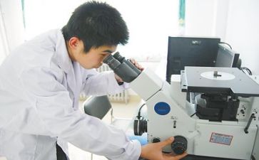 技术质量工作总结6篇
