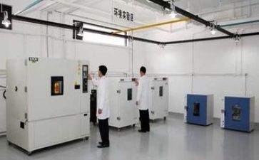 局质量工作总结模板5篇