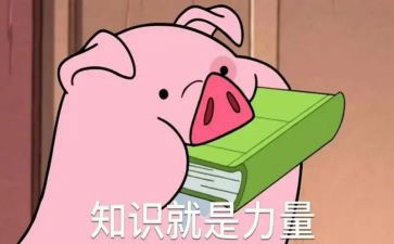 宣传金融知识活动总结8篇