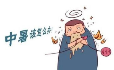 初中暑假实践活动心得体会7篇
