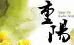 重阳节社区活动方案优秀5篇