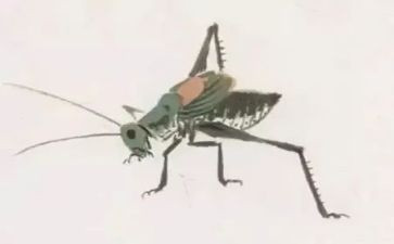 绿色蝈蝈教学反思7篇