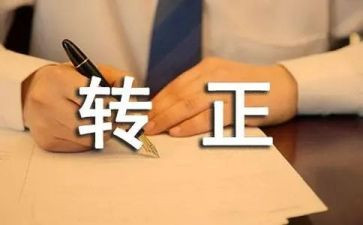 工作转正个人总结5篇