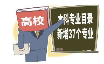 转专业总结报告6篇