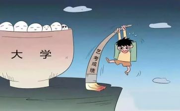 转专业教师工作总结6篇