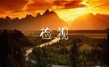 设备自检自查报告5篇