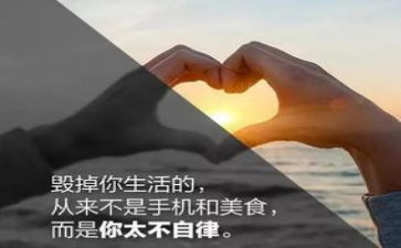 心得体会廉洁自律精选6篇