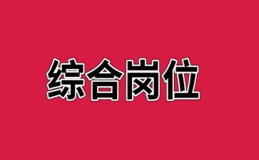 综合岗工作总结报告8篇