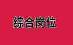 综合岗工作总结报告8篇