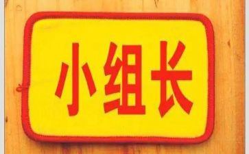 备课组长工作总结6篇