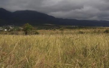 转让房屋租赁合同模板7篇