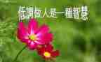 做人的作文600字作文参考5篇