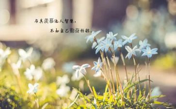 做最好老师的心得体会6篇